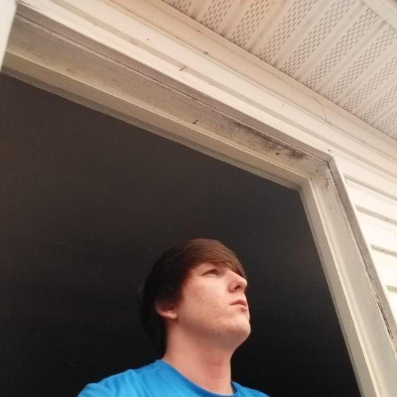 Meet your Posher, Cameron - Picture 1 of 1